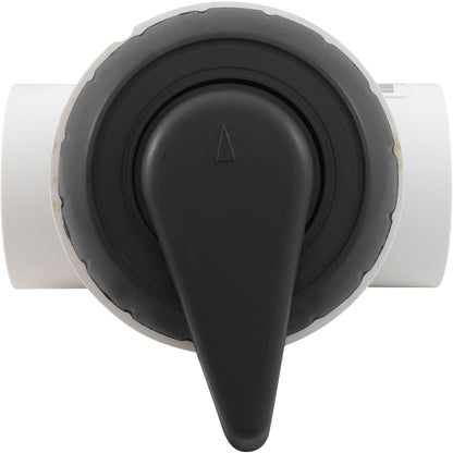 Diverter Valve, WW, 2", 2 Port, Top Mount, Notched, Black