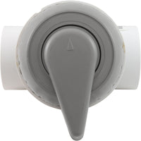 Diverter Valve, WW, 2", 2 Port, Top Mount, Notched, Gray
