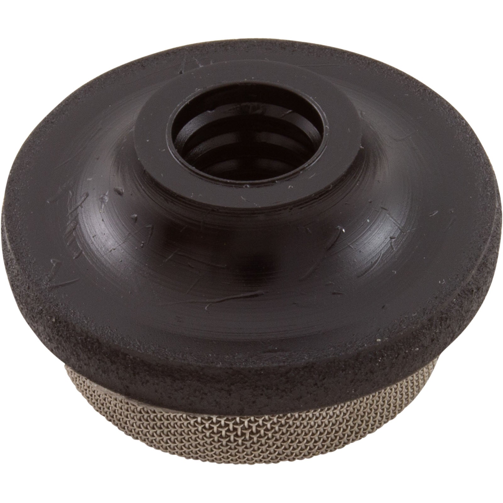 Strainer, PentairTriton II/C-3/TR100C/140C/40, Air Tube, 11/99+