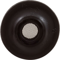 Strainer, PentairTriton II/C-3/TR100C/140C/40, Air Tube, 11/99+