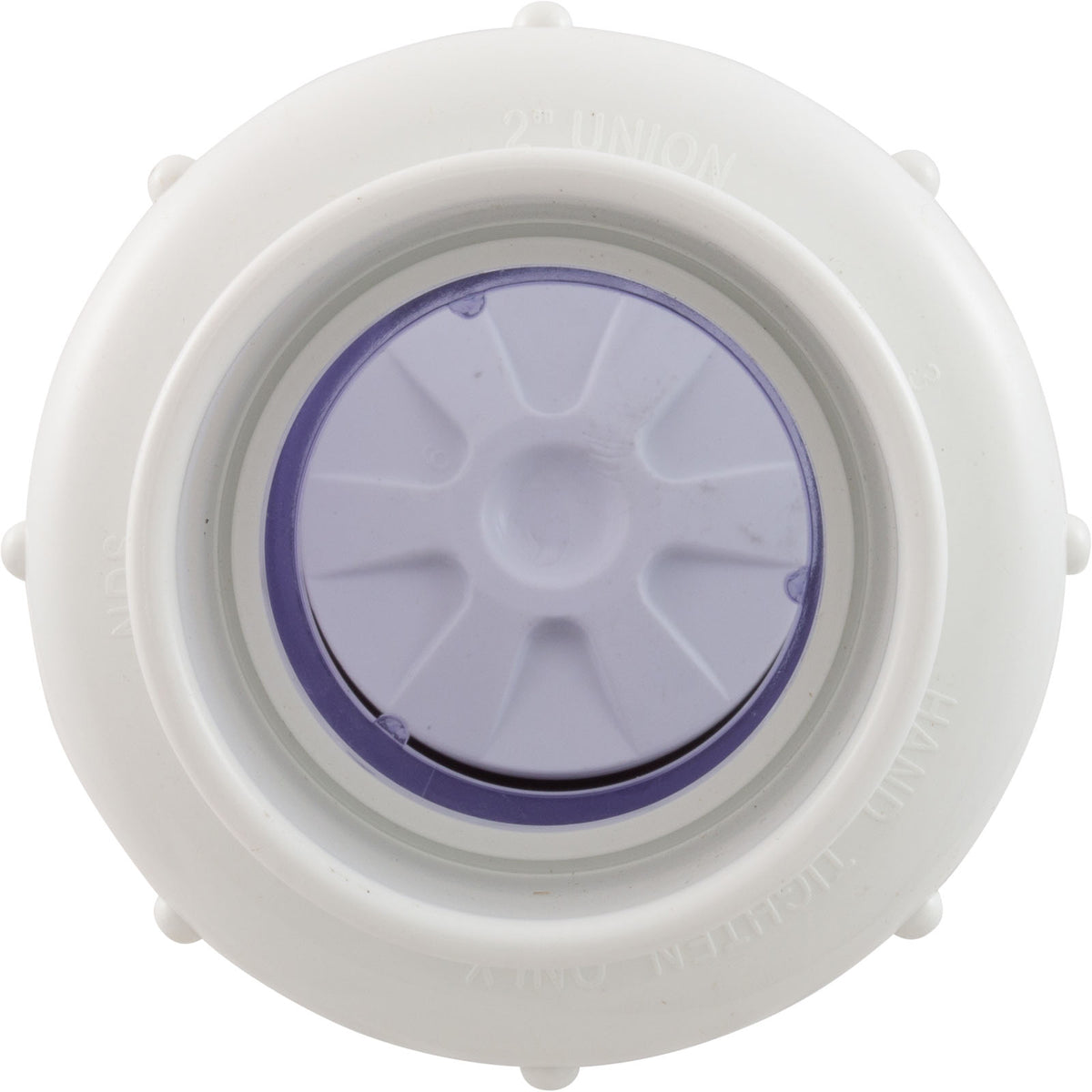Check Valve, Flo Control, Swing, 2" Slip, True Union