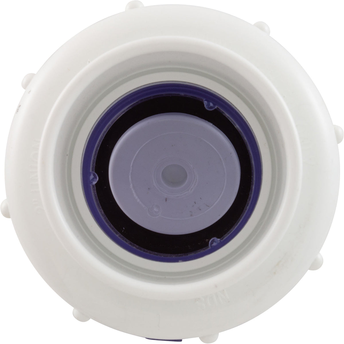 Check Valve, Flo Control, Swing, 2" Slip, True Union