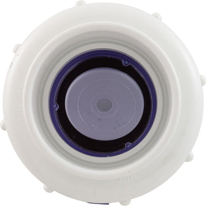 Válvula de retención, control de flujo, oscilante, deslizamiento de 2", unión verdadera