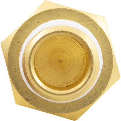 Gas Shutoff Switch, Pentair Max-E-Therm/MasterTemp