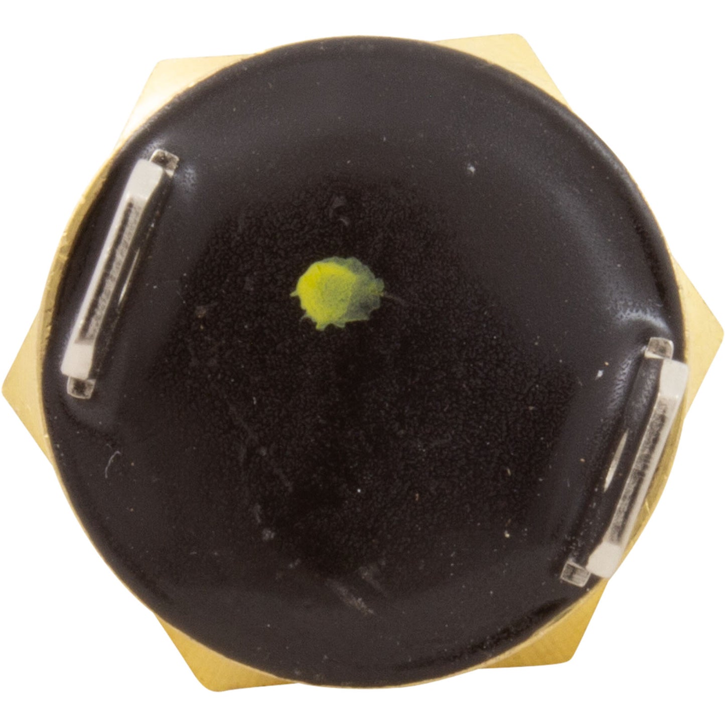 Gas Shutoff Switch, Pentair Max-E-Therm/MasterTemp