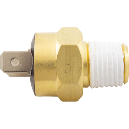 Gas Shutoff Switch, Pentair Max-E-Therm/MasterTemp