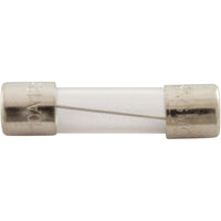 Mini Time Delay Fuse, 10A, 125v, 20mm