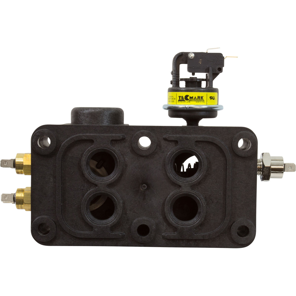 Manifold Kit for Master Temp 125