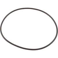 Pool Strainer Top Lid Gasket