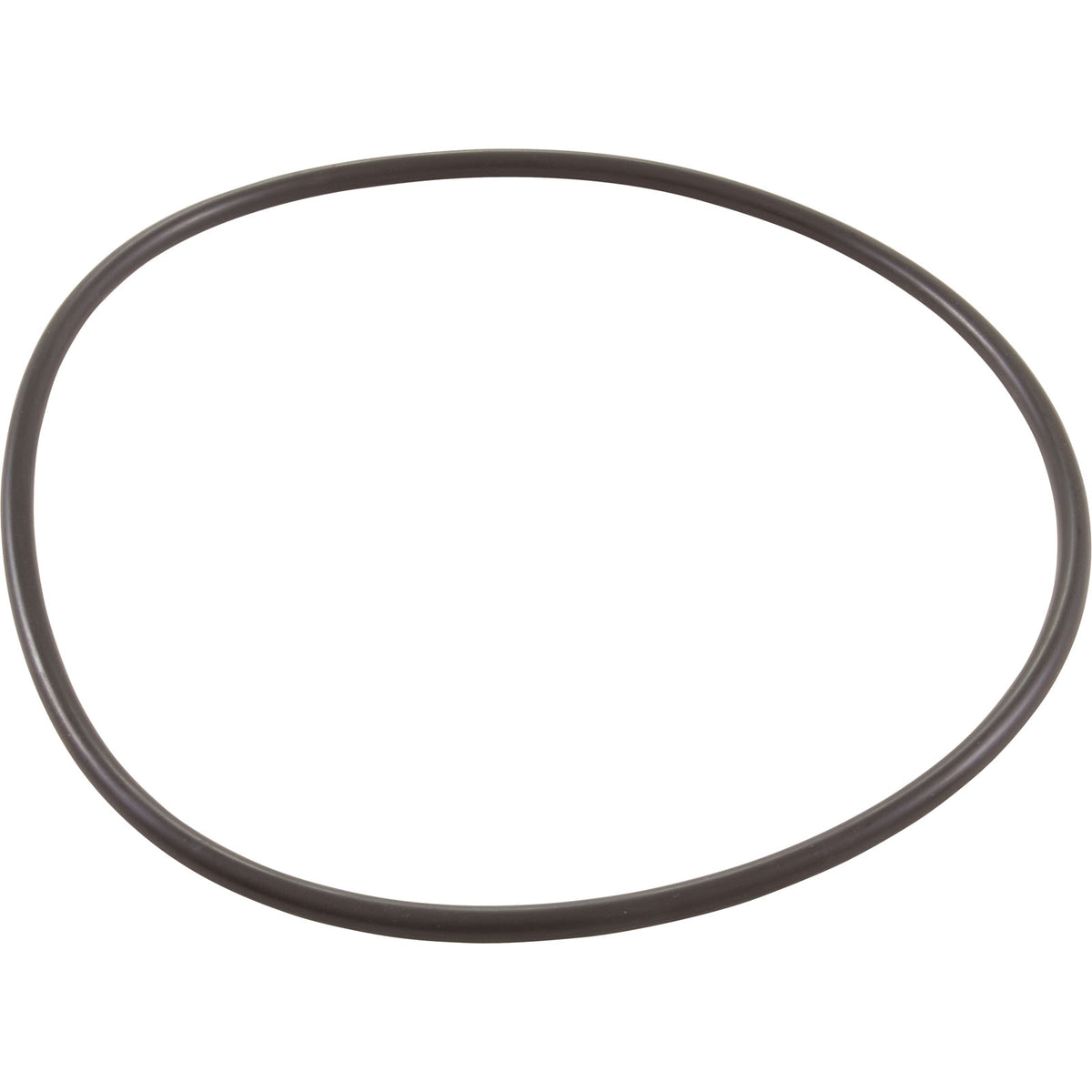 Jandy Pro Series O-Ring, Backplate, 60Hz