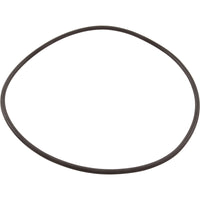 Zodiac Nature2 Professional G / M / A Vessel O-Ring For 1 pc