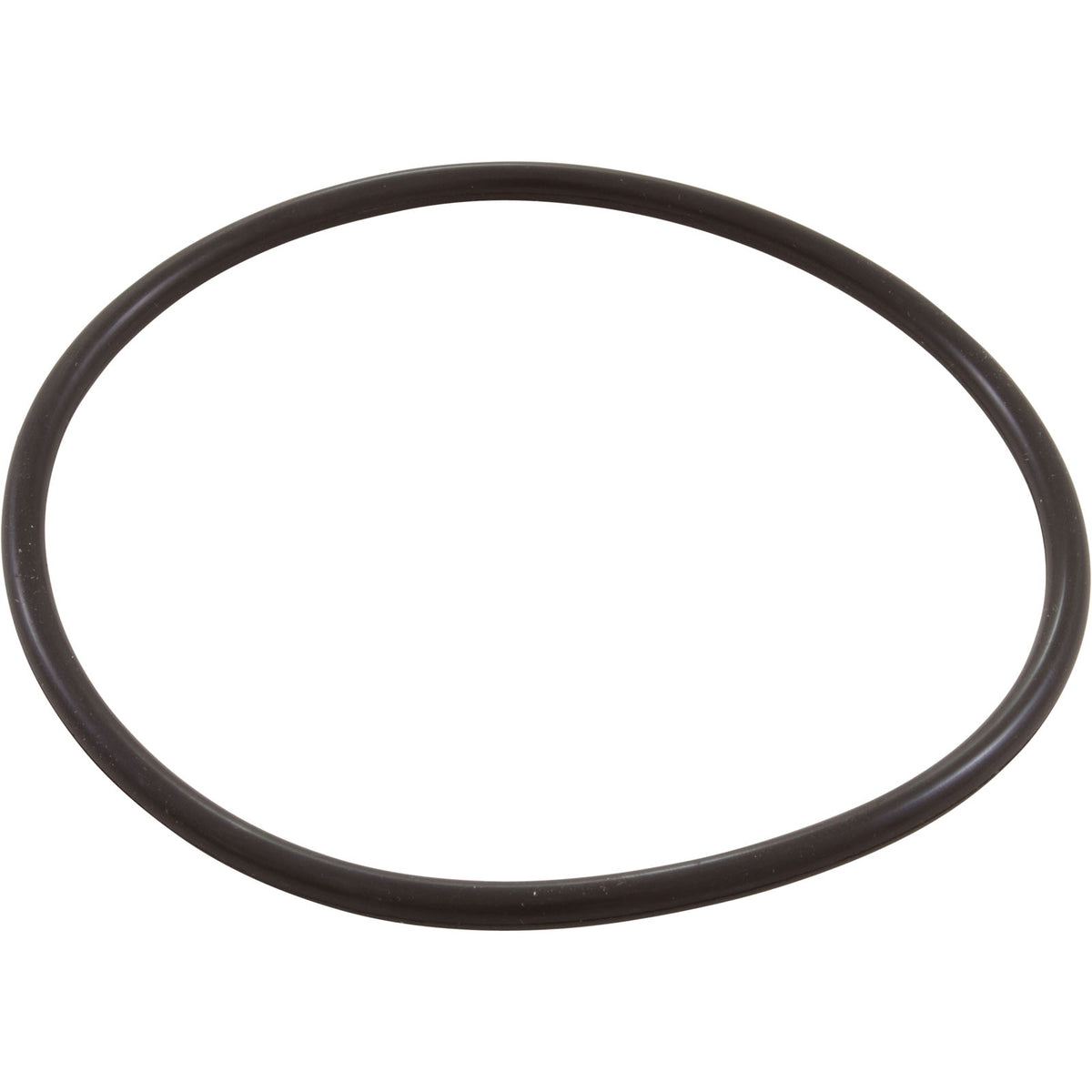 Zodiac Nature2 Pro G Plus Chlorine Chamber O-Ring