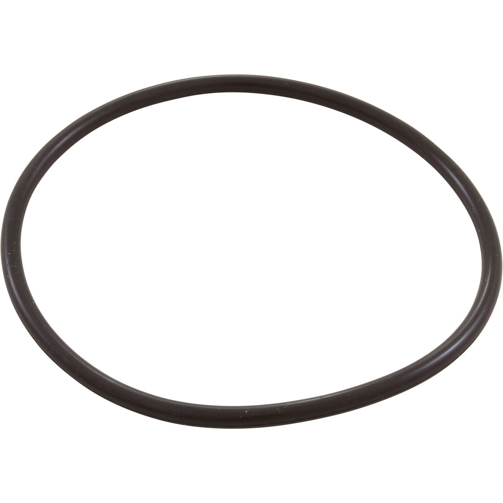 Zodiac Nature2 Pro G Plus Chlorine Chamber O-Ring