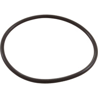 Zodiac Nature2 Pro G Plus Chlorine Chamber O-Ring