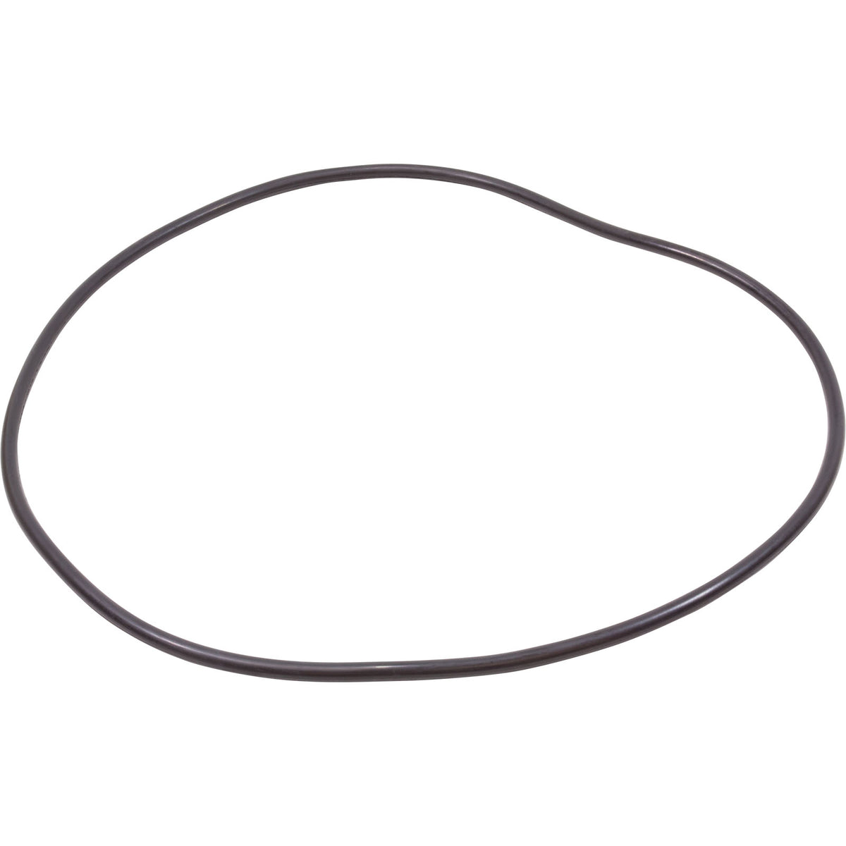 O-Ring, Pentair Quad, Tank Body