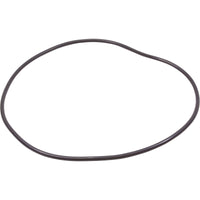 O-Ring, Pentair Quad, Tank Body