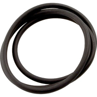 O-Ring, Zodiac Jandy CS Series, Tank Lid