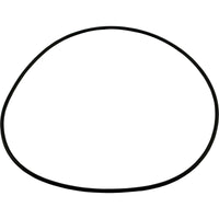 O-Ring, Zodiac Polaris Halcyon, Seal Plate
