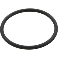 Diffuser O-Ring, Pentair IntelliFlo XF