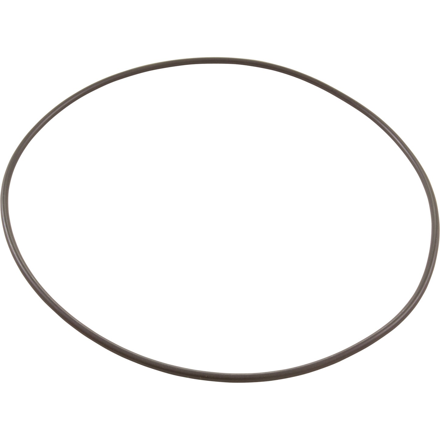 O-Ring, Pentair PacFab Bermuda, Body Float Valve