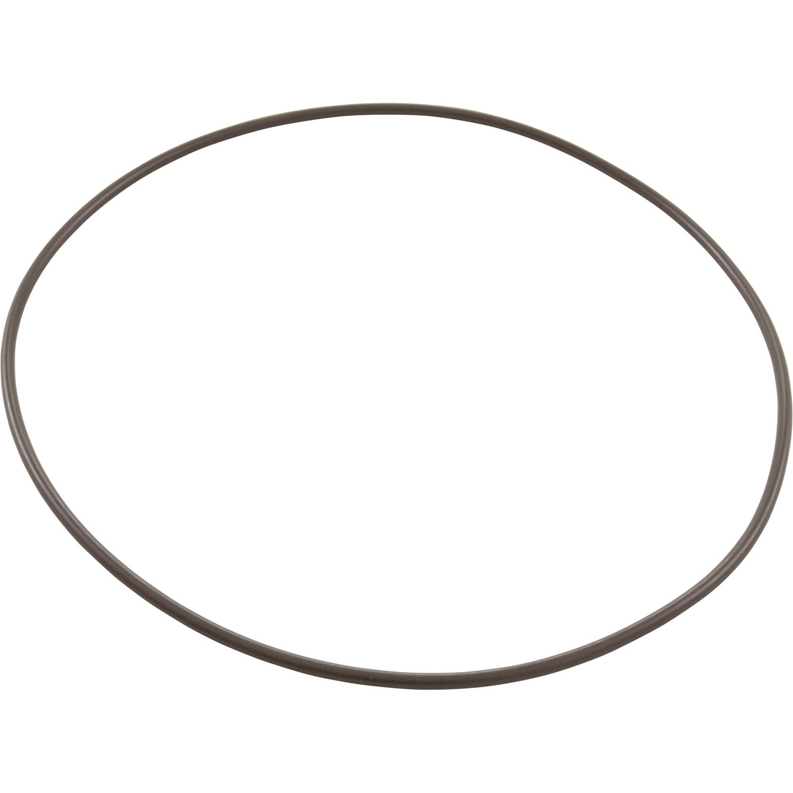 O-Ring, Pentair PacFab Bermuda, Body Float Valve