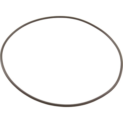 O-Ring, Pentair PacFab Bermuda, Body Float Valve