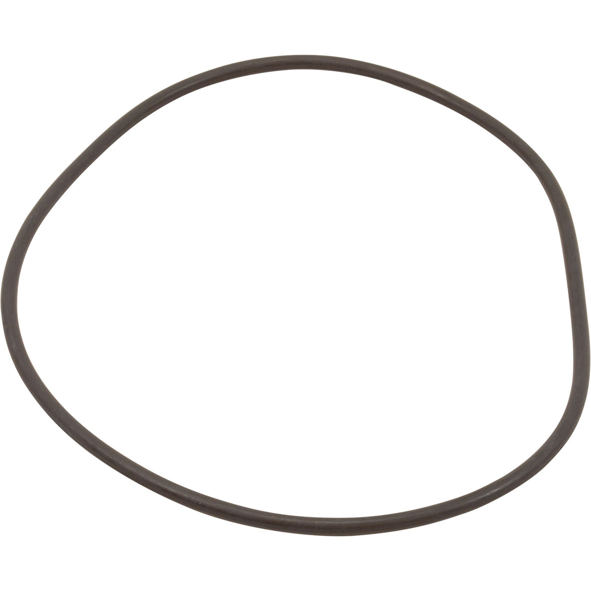 O-Ring, #448 - Pro Clean Filter 35 Shore W/Bag