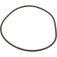 O-Ring, #448 - Pro Clean Filter 35 Shore W/Bag