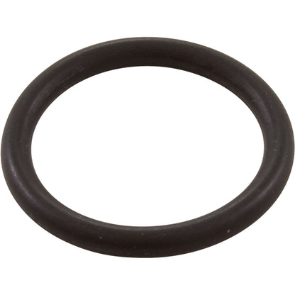 O-Ring O-669