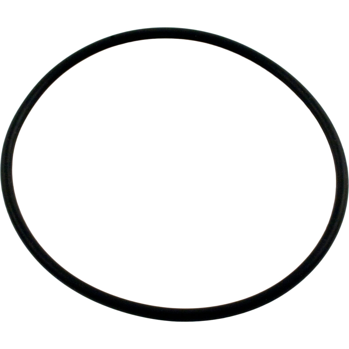 O-Ring, Waterway Serviceable Check Valve, Cover