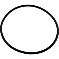 O-Ring, Waterway Serviceable Check Valve, Cover