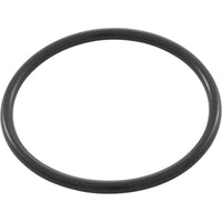 O-Ring, Pentair Tagleus Adapter, OEM
