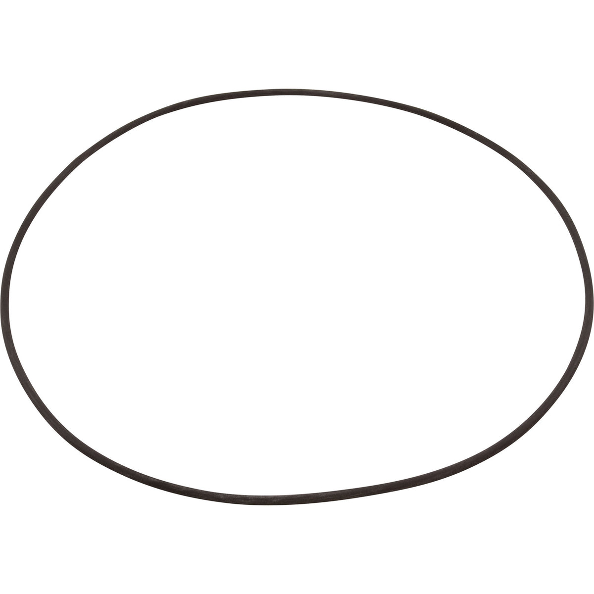 O-Ring, Buna-N, Astral, Rapidpool Filter, Collar