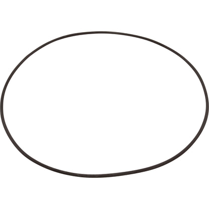 O-Ring, Buna-N, Astral, Rapidpool Filter, Collar