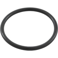 O-Ring, WW No-Flo Gate Valve, 1-1/2", Union, OEM