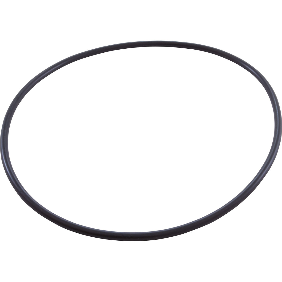 O-Ring, Pentair Sta-Rite IntelliPro, Seal Plate