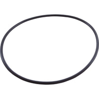 O-Ring, Pentair Sta-Rite IntelliPro, Seal Plate