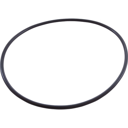 O-Ring, Pentair Sta-Rite IntelliPro, Seal Plate