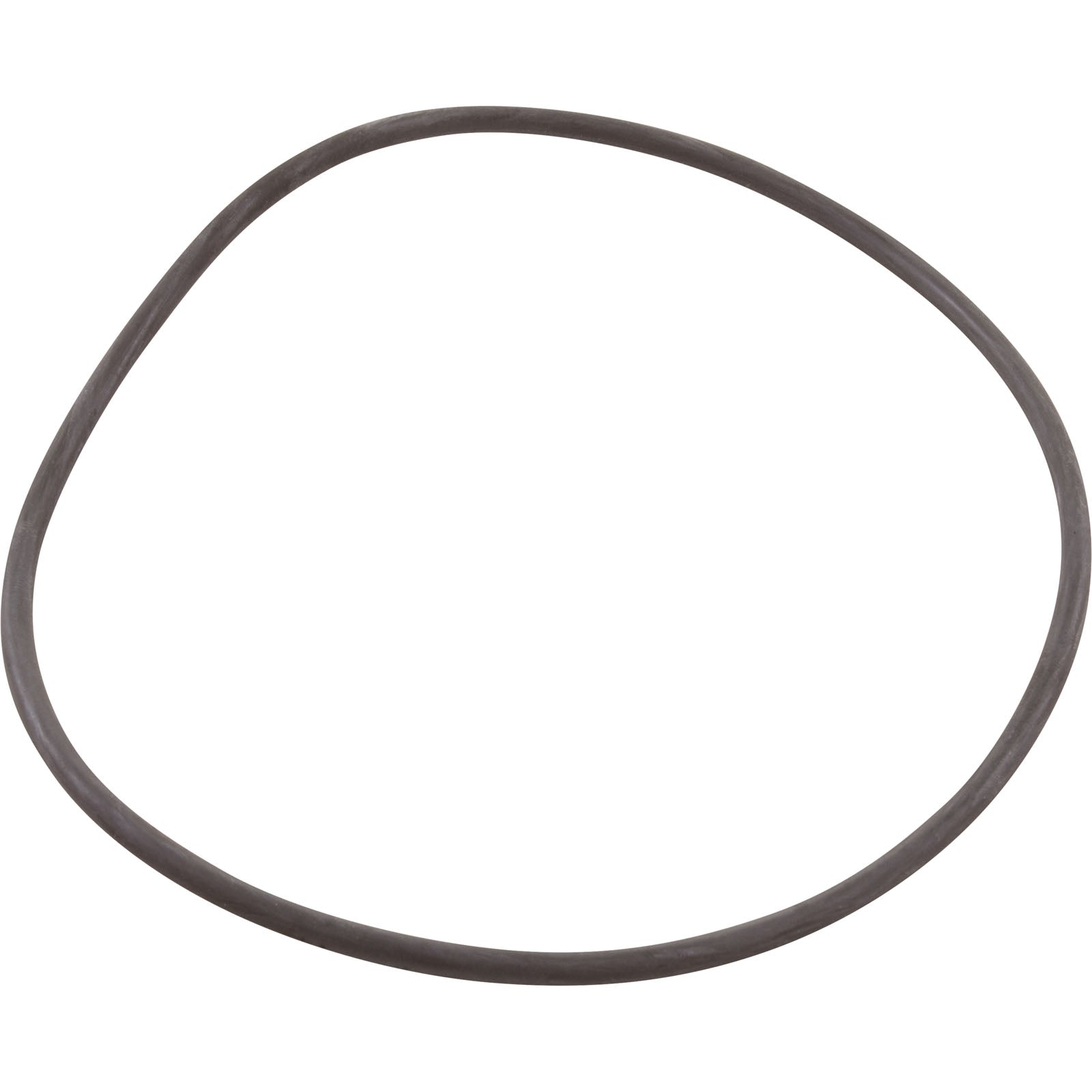 O-Ring, Astral Pump Strainer, Lid