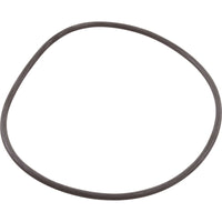O-Ring, Astral Pump Strainer, Lid