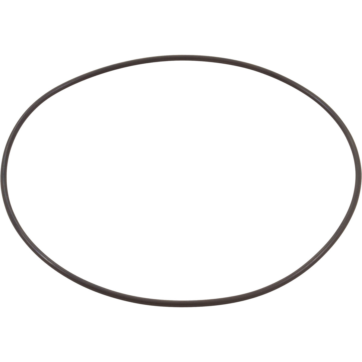 O-Ring, WW Executive 48/56, Volute, OEM