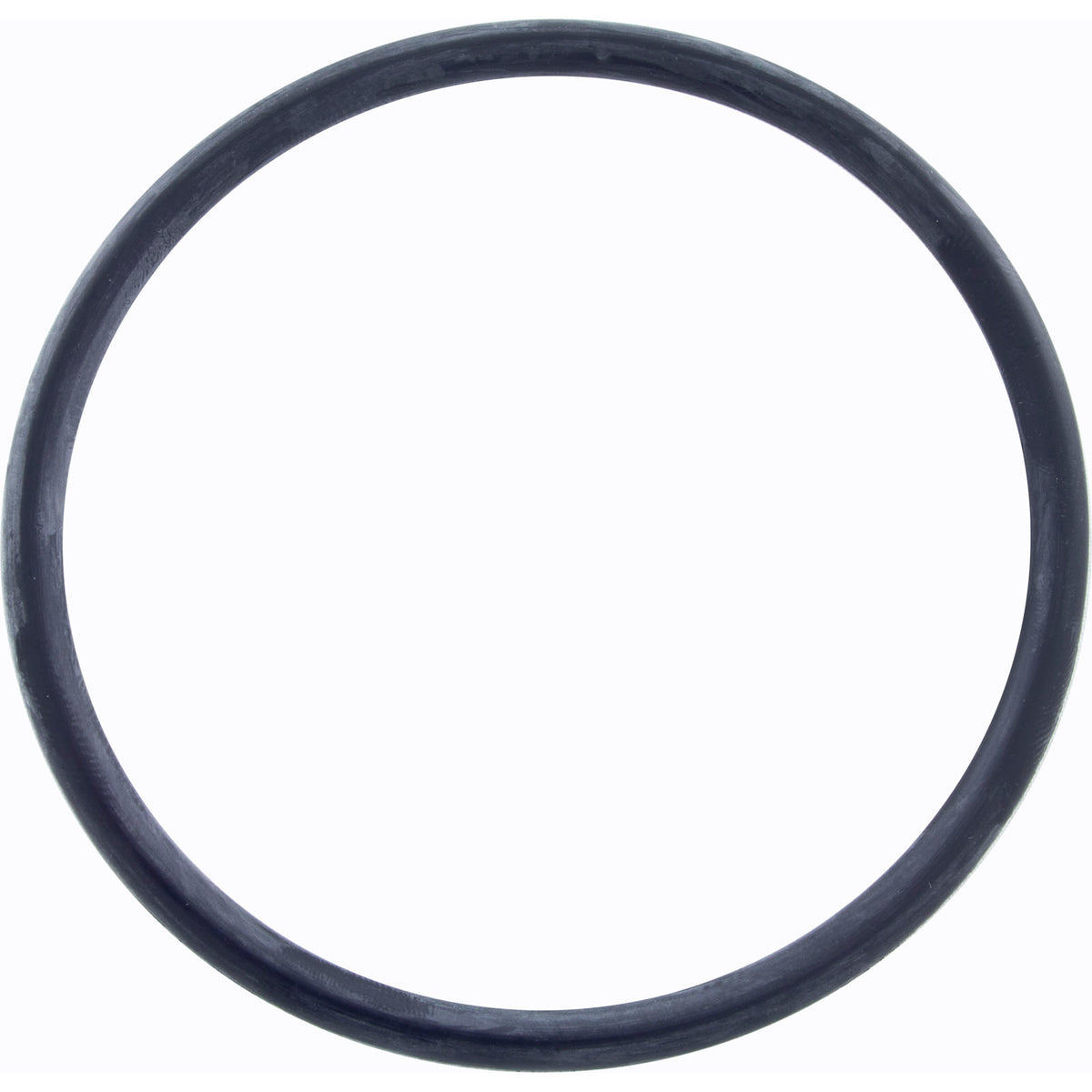 O-Ring, Zodiac Jandy AquaPure Ei, Lock Ring