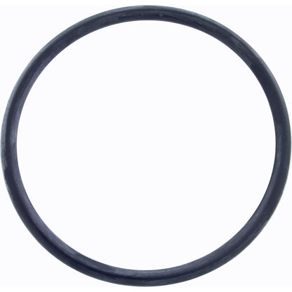 O-Ring, Zodiac Jandy AquaPure Ei, Lock Ring