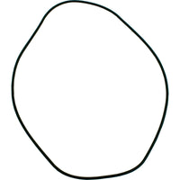 O-Ring, Hayward H-Series/Induced Draft/Low NOx/ED2, Header