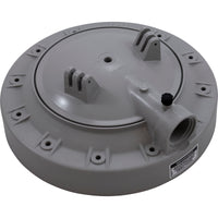 Tank Lid, Hayward Perflex EC40