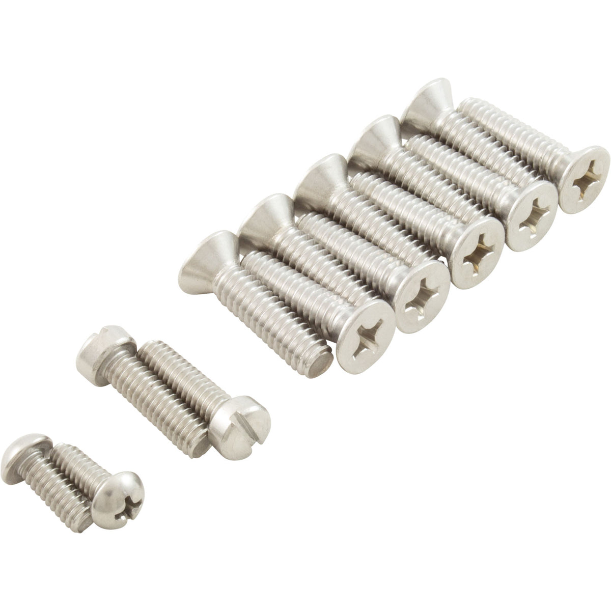 Pentair 79205300Z 1" Standard 10-Hole Pattern Screw Kit with Double-Wall Gasket