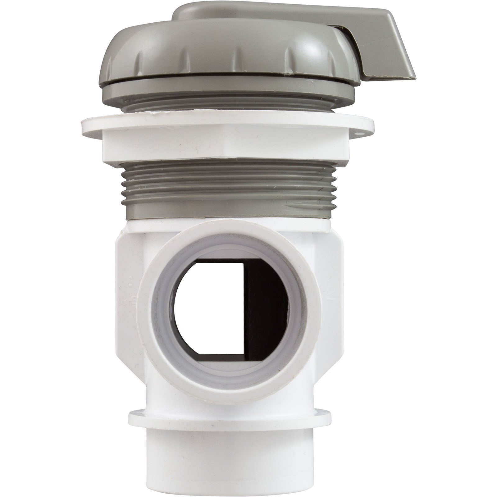 Diverter Valve, WW, 1", 2 Port, Top Mount, Vertical, Gry