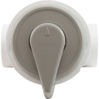 Diverter Valve, WW, 1", 2 Port, Top Mount, Vertical, Gry