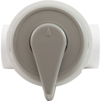 Válvula desviadora, WW, 1", 2 puertos, montaje superior, vertical, gris