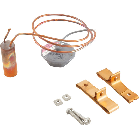 Élément thermostatique de rechange Kt-45-Zga